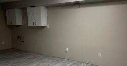 Professional Office Space