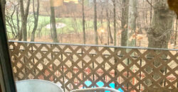 2 Bedroom 2 Bath Co-op New Rochelle, NY