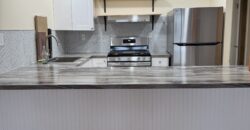 NEWLY RENOVATED 3 Bedroom 1 Bath CASTLE HILL AREA