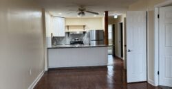 NEWLY RENOVATED 3 Bedroom 1 Bath CASTLE HILL AREA