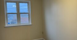 NEWLY RENOVATED 3 Bedroom 1 Bath CASTLE HILL AREA