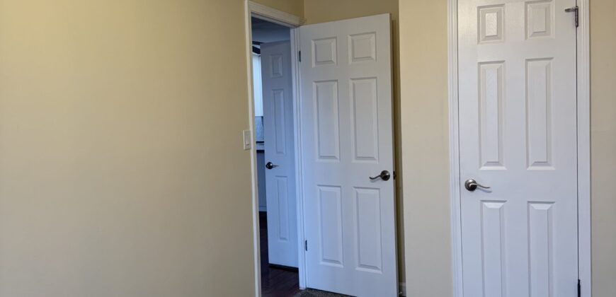 NEWLY RENOVATED 3 Bedroom 1 Bath CASTLE HILL AREA