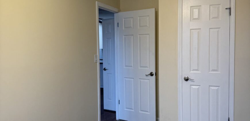 NEWLY RENOVATED 3 Bedroom 1 Bath CASTLE HILL AREA